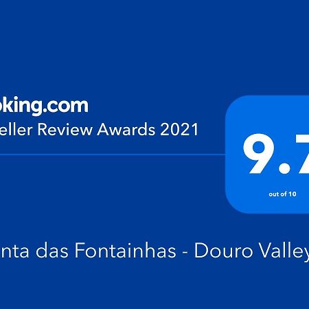 Вилла Quinta Das Fontainhas - Douro Valley Табуасу Экстерьер фото