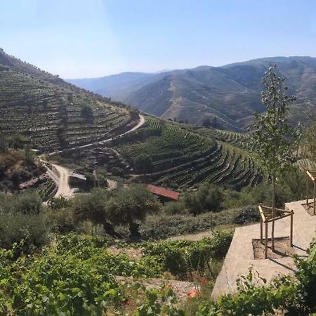 Вилла Quinta Das Fontainhas - Douro Valley Табуасу Экстерьер фото
