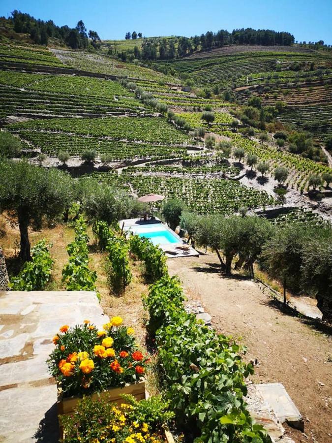 Вилла Quinta Das Fontainhas - Douro Valley Табуасу Экстерьер фото
