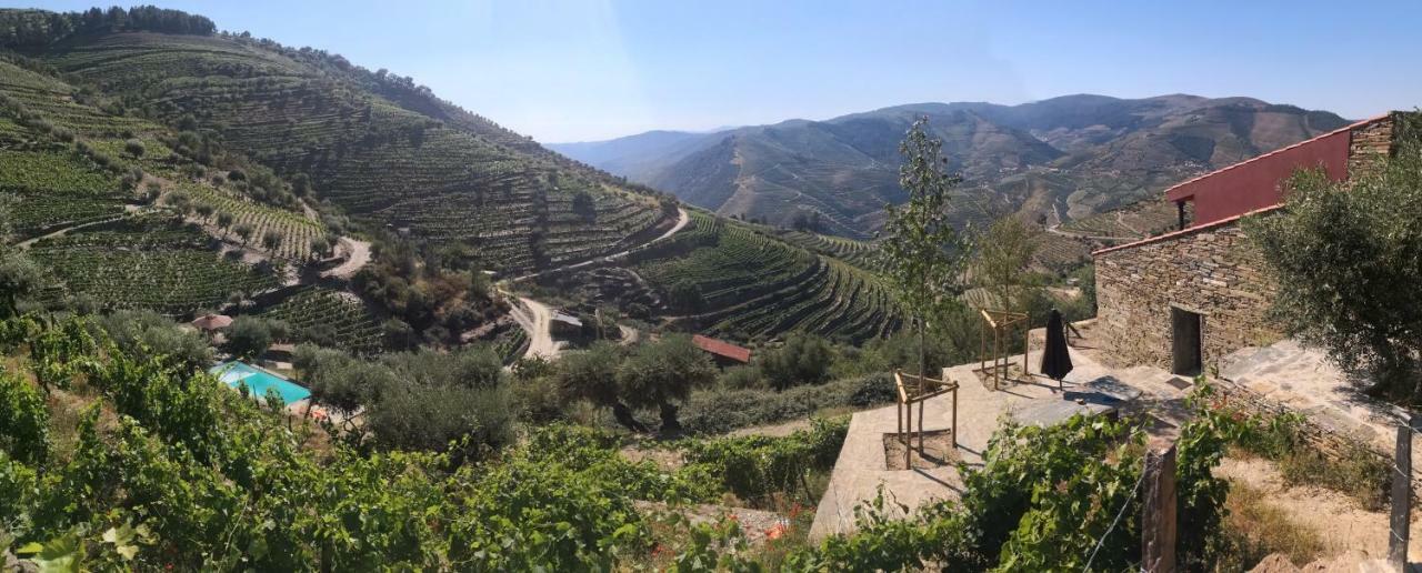 Вилла Quinta Das Fontainhas - Douro Valley Табуасу Экстерьер фото