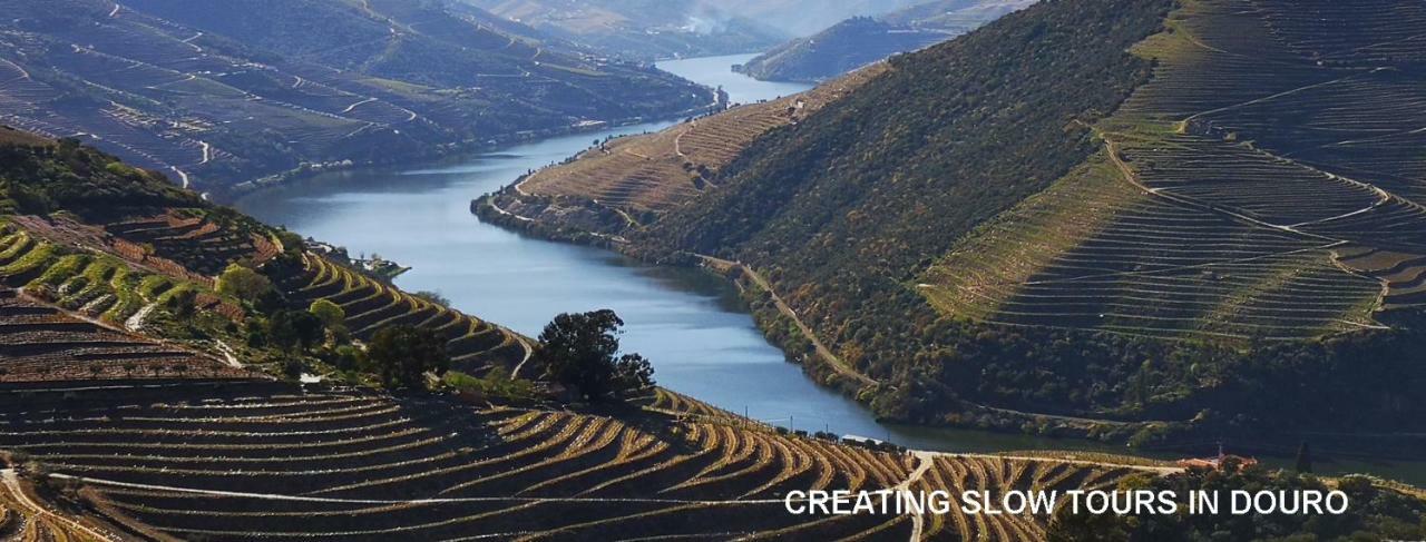 Вилла Quinta Das Fontainhas - Douro Valley Табуасу Экстерьер фото