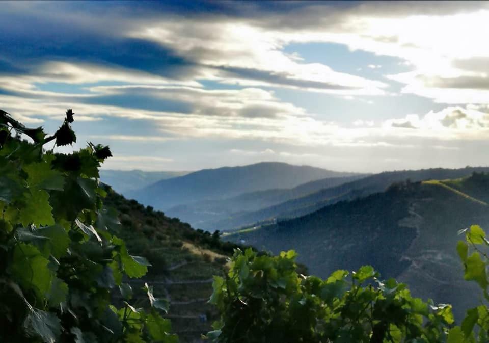 Вилла Quinta Das Fontainhas - Douro Valley Табуасу Экстерьер фото
