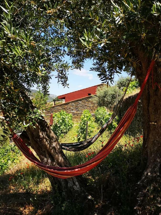 Вилла Quinta Das Fontainhas - Douro Valley Табуасу Экстерьер фото