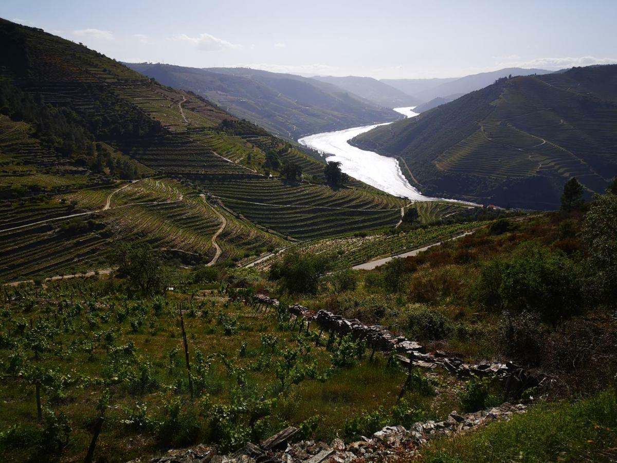 Вилла Quinta Das Fontainhas - Douro Valley Табуасу Экстерьер фото