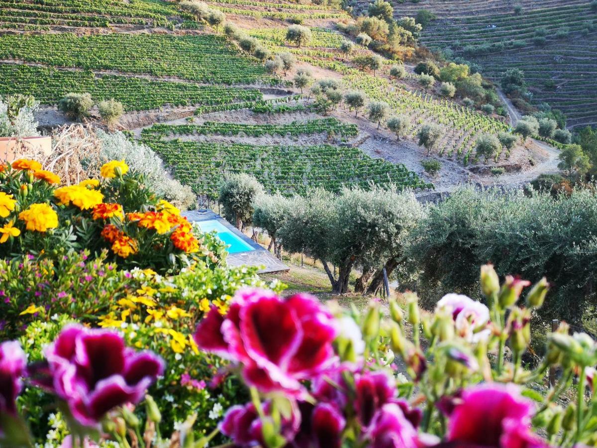 Вилла Quinta Das Fontainhas - Douro Valley Табуасу Экстерьер фото