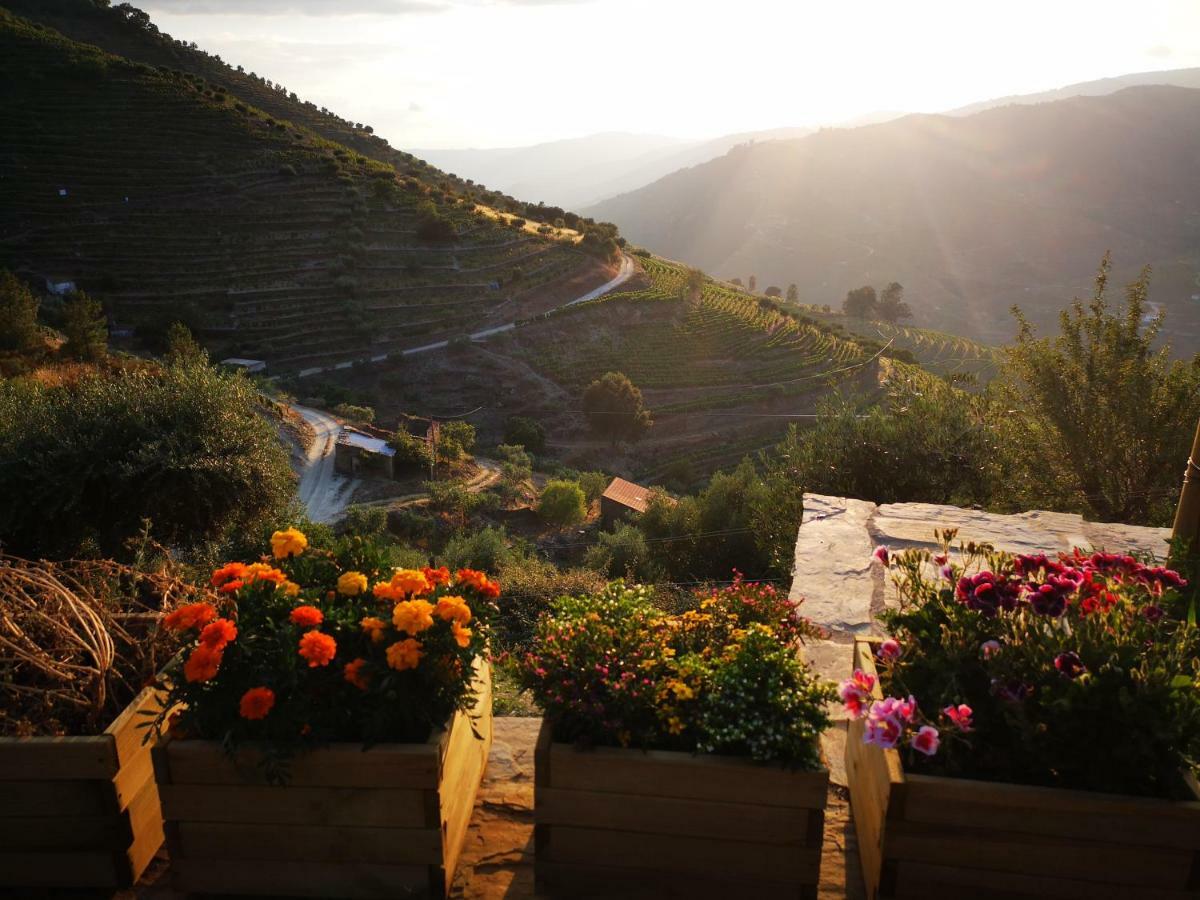 Вилла Quinta Das Fontainhas - Douro Valley Табуасу Экстерьер фото