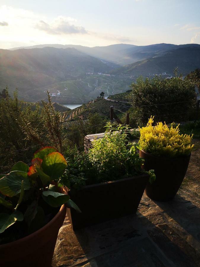 Вилла Quinta Das Fontainhas - Douro Valley Табуасу Экстерьер фото