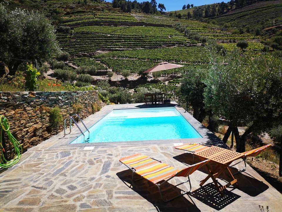 Вилла Quinta Das Fontainhas - Douro Valley Табуасу Экстерьер фото